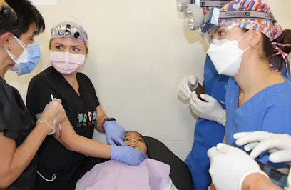 1800 Emergency Dentist Nokomis 24 Hours