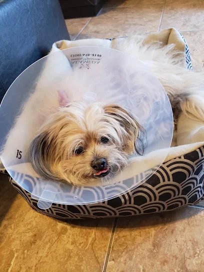 Alameda Animal Hospital