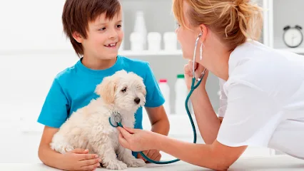 Angeles Animal Hospital