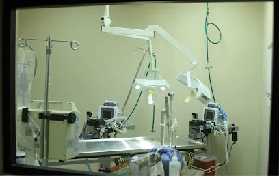 Animal Hospital of South Bay