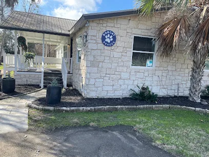 Bobcat Braces in Manchaca