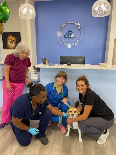 Brijon Veterinary Urgent Care : Hanover, Massachusetts