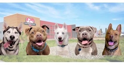 Butte Humane Society