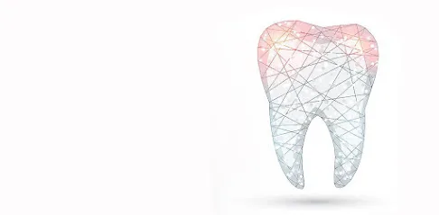 Joseph S. Kim, DDS [Smile Plant Dental Clinic]