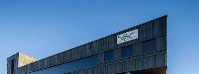 Mint Dental