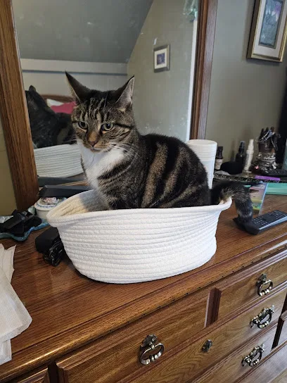 Norwell Veterinary Hospital