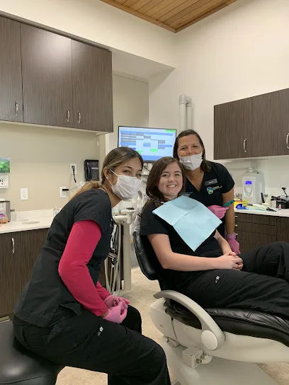 Sarasota Dentistry
