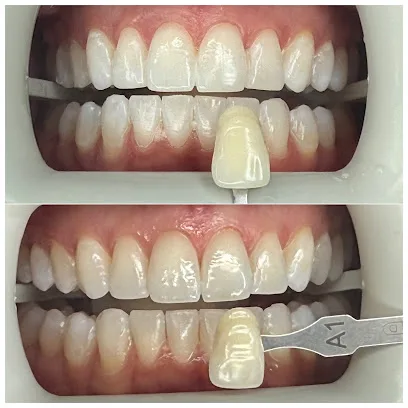 The Art of Dental Wellness
